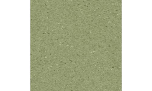 Линолеум Tarkett IQ Granit FERN 0405
